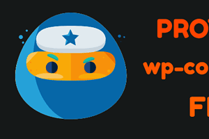 Bảo vệ file WP-Config và các file quan trọng trong WordPress