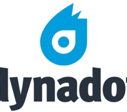 Hướng dẫn cách mua tên miền quốc tế tại Dynadot 2023