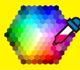 Cách lấy mã màu từ hình ảnh online hoặc dùng ứng dụng