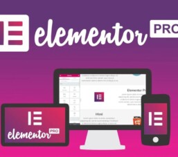 Elementor Pro giảm giá 50%, Plugin Builder mạnh mẽ nhất hiện nay