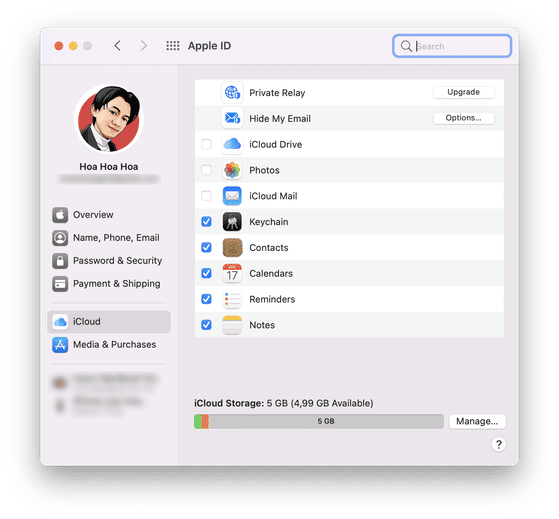 private relay macos