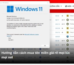 Cách nâng cấp lên Windows 11 Insider (Dev Channel)