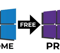 Cách để nâng cấp Windows 11 Home lên Windows 11 Pro